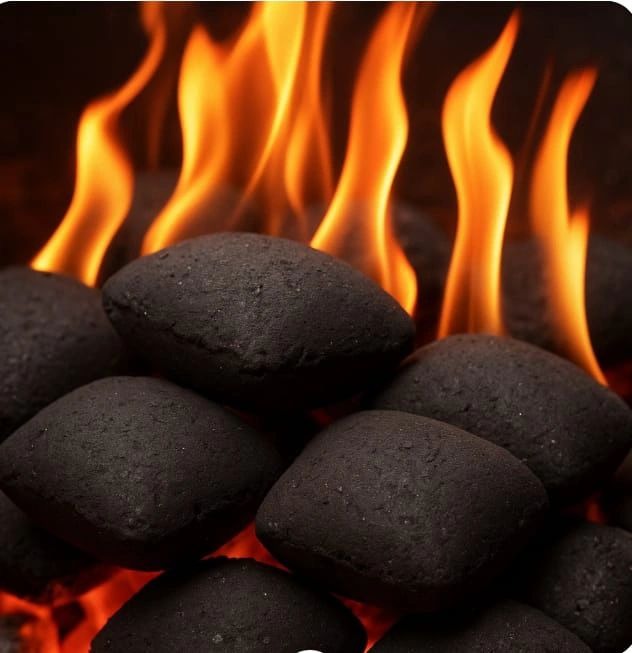 From Aid Recipient to Farm Manager: Aisha's Journey